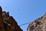 Some buggies zipping around above